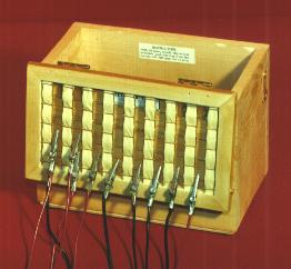 Case with Alligator Leads